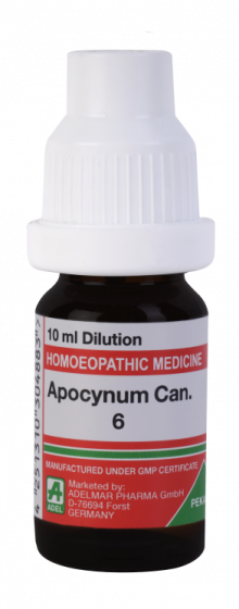 Apocynum Can