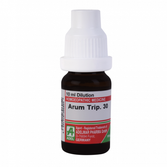 Arum Triphyllum