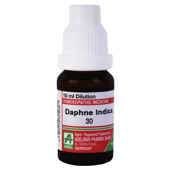 Daphne Indica
