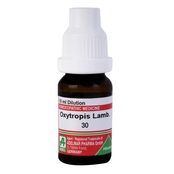 Oxytropis Lamb