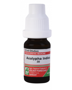 Acalypha Indica