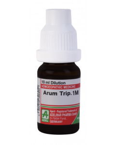 Arum Triphyllum - 1M