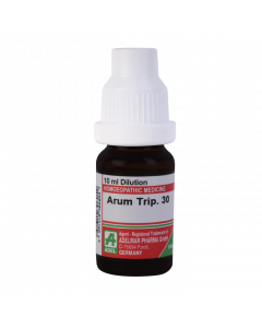 Arum Triphyllum - 30