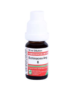 Echinacea Ang