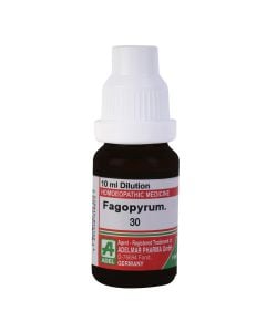 Fagopyrum